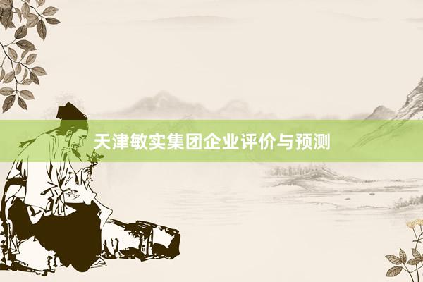 天津敏实集团企业评价与预测