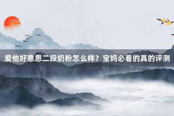 爱他好意思二段奶粉怎么样？宝妈必看的真的评测
