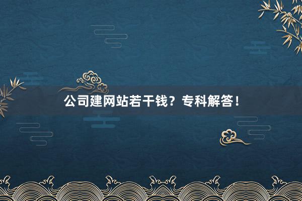 公司建网站若干钱？专科解答！