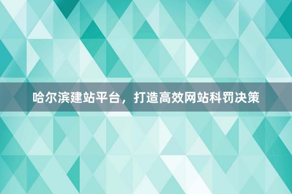 哈尔滨建站平台，打造高效网站科罚决策
