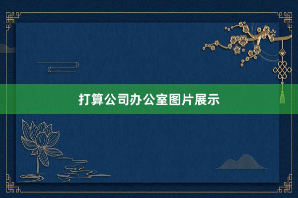 打算公司办公室图片展示