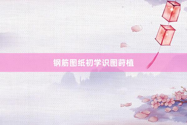 钢筋图纸初学识图莳植